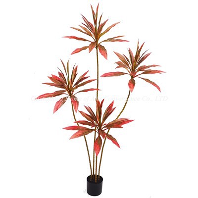 עציצים מזויפים Cordyline Fruticosa